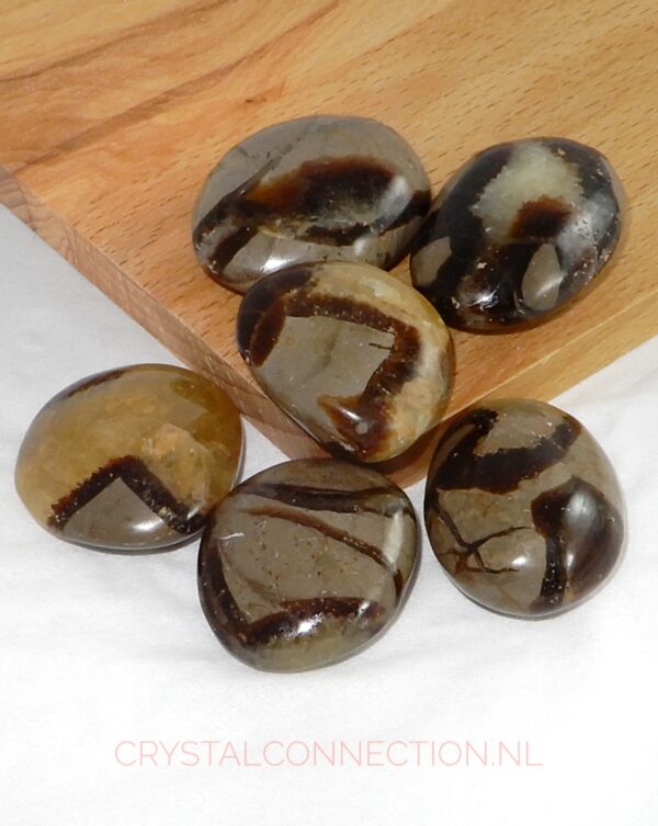 Septarien trommelsteen