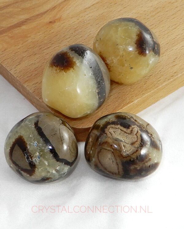 Septarien trommelsteen