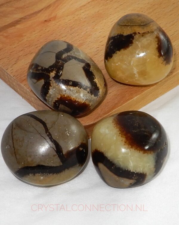 Septarien trommelsteen