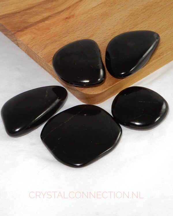 Shungiet schijfsteen