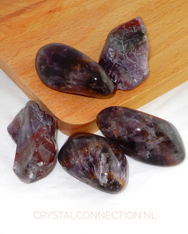 Stromatoliet trommelsteen