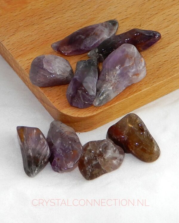 Stromatoliet trommelsteen