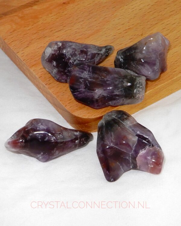 Stromatoliet trommelsteen