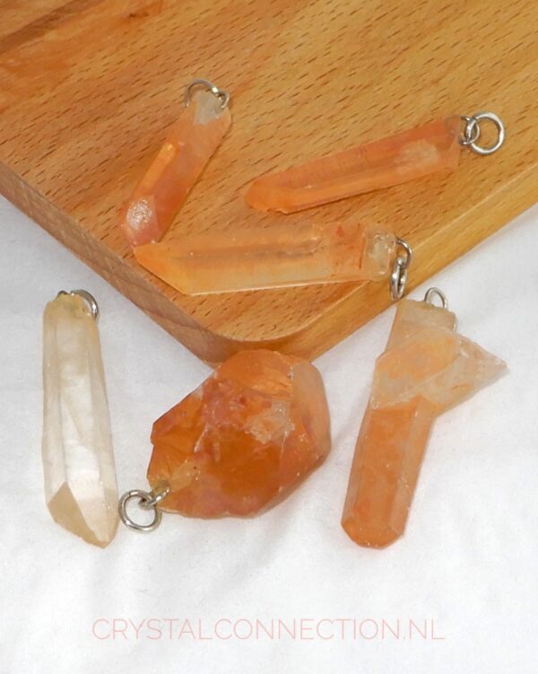Tangerinekwarts hanger