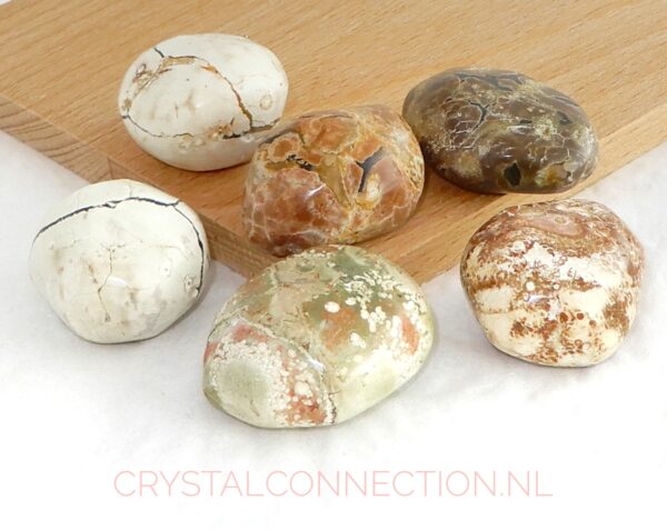 Shungiet zorgensteen