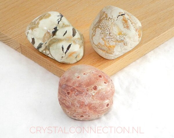 Shungiet zorgensteen