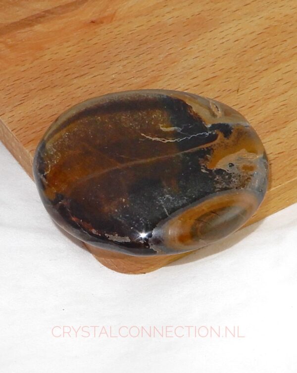 Tijgeroog schijfsteen