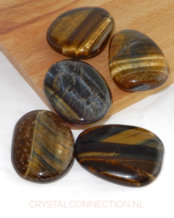 Tijgeroog schijfsteen