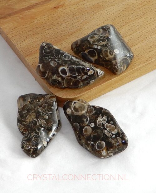 Agaat turtilla trommelsteen