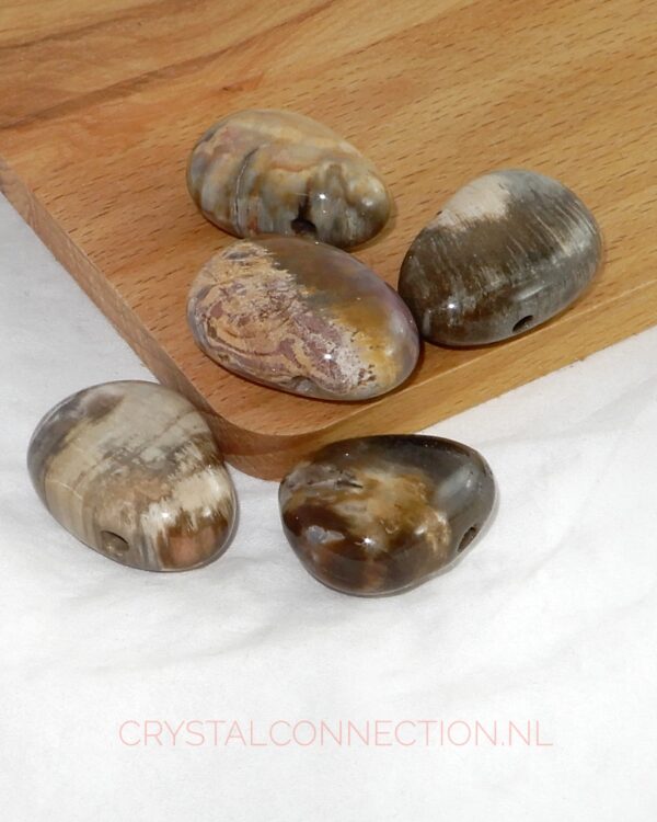 Versteend hout doorboorde hanger