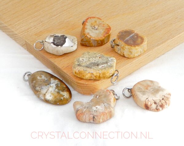 Versteend hout hanger