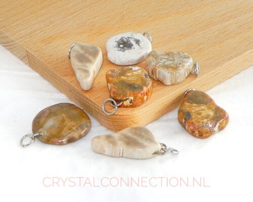 versteend-hout-hanger-klein Versteend hout hanger