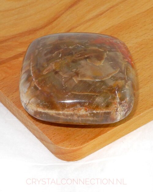 versteend-hout-kussensteen-5cm Versteend hout kussensteen