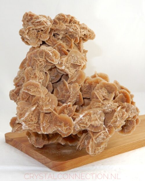 woestijnroos-ruw-nr1-40.00 Woestijnroos ruw