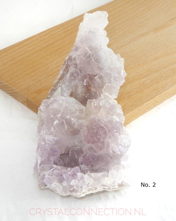 Amethist bloem ruw (flower)